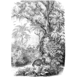 ESTAhome fotobehang jungle-motief zwart wit - 2 x 2,79 m - 158945