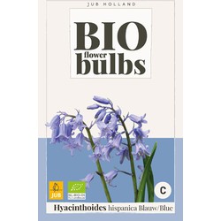 Hyacinthushoides hispanica Blauw - bio