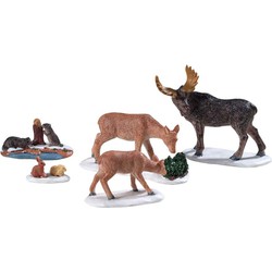 Wild animals set of 5