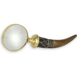 A MAGNIFYING-GLASS