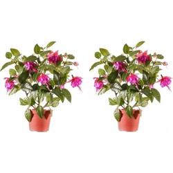 2x Roze fuchsia kunstplant in pot 30 cm voor binnen - Kunstplanten