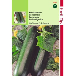 2 stuks - Komkommers Hoffmanns Giganta