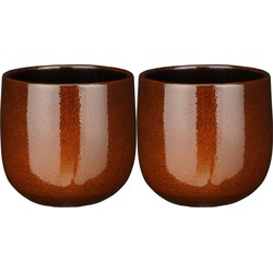 2x stuks plantenpot/bloempot terra bruin speels licht gevlekt patroon - D21/H19 cm - Plantenpotten