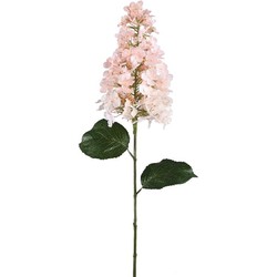 PTMD Kunstbloem Hortensia - 44x26x86 cm - Kunststof - Creme