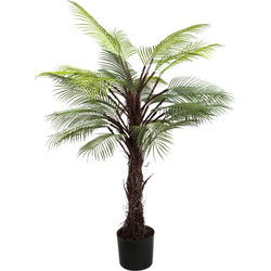 PTMD Kunstplant Palm Tree - 68x86x145 cm - Plastic - Zwart