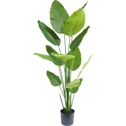 Greenmoods Kunstplant Strelitzia - Strelitzia reginae - Nep plant - 1 Stuk - 180cm