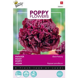 5 stuks - Poppies of the world - Papaver Black Paeony