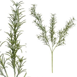 PTMD Leaves Plant Sprengeri Kunsttak - 35 x 12 x 67 cm - Groen