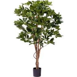 Greenmoods Schefflera - Schefflera arboricola - Nep plant - 1 Stuk - 120cm - Groen -