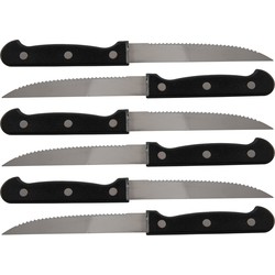 Set van 12x stuks steakmessen/vleesmessen bestek 21.5 cm - Messen