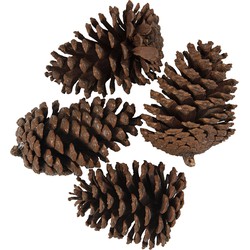 Clayre & Eef Decoratie Set van 4 Dennenappel 8/10 cm Bruin Hout Kunstplant