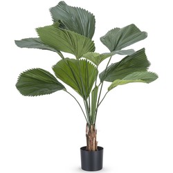 Hoyz Greenery - Kunstplant Lucuala Grandis 120 cm