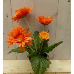 Kunstgerbera oranje in pot 25 cm