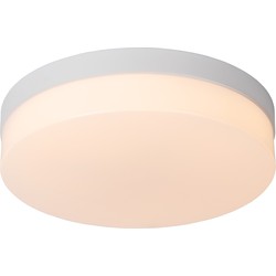 Steve witte medium plafondlamp badkamer diameter 28 cm LED 1x18W 2700K IP44