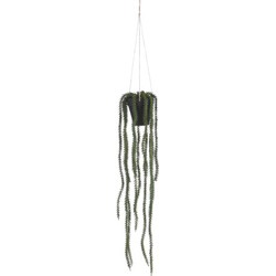 Rhipsalis hängend im Topf grün l62xd9cm - Mica Decorations