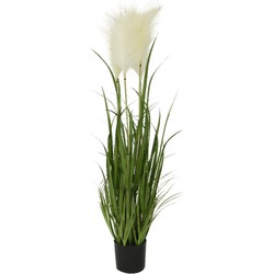 Grasplanten met witte pluimen kunstplanten/nepplanten 100 cm - Kunstplanten
