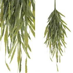 PTMD Eucalyptus Kunsttak - 60 x 50 x 72 cm - Groen