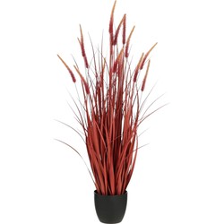 Mica Decorations Kunstplant Dogtail grass - 30x30x120 cm - PVC - Donker Rood