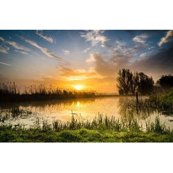 Tuinschilderij zonsopkomst 70x50cm