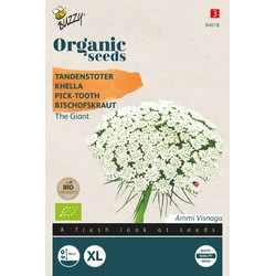 Organic Tandenstoker Ammi Visnagia The Giant BIO