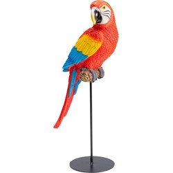 Kare Decofiguur Parrot Macaw