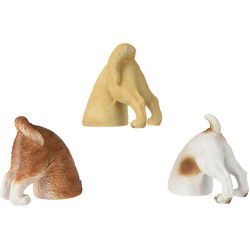 Hond polyresin l11b18h18 cm a3