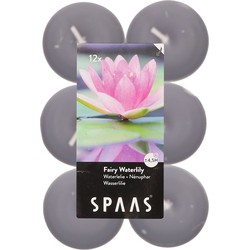 Spaas waxinelichtjes - 12x - Fairy Waterlily - 4,5 branduren - geurkaarsen