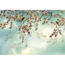 Komar fotobehang Sakura blauw en roze - 368 x 254 cm - 610936