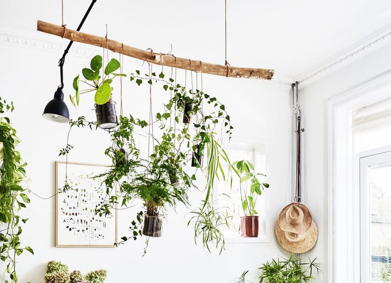 5 creatieve manieren om planten in je interieur te verwerken