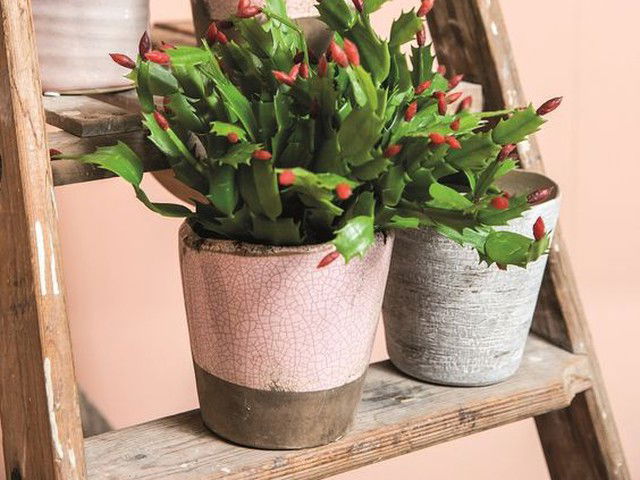Shopping list: 12x bloempotten voor de lente