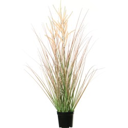 Louis Maes Quality kunstplant - Siergras met pluim - groen/bruin - H75 cm - in pot - Kunstplanten
