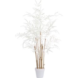 Light&living Ornament in pot 70x60x90 cm BAMBOO naturel+crème