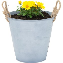 Mega Collections emmer/plantenpot Old Rope - zink - zilver - D22 X H20 cm - IJzeren emmer / teil