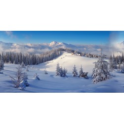 Hintergrund Leinwand Winterwald 150 x 75 cm Weihnachts - My Village