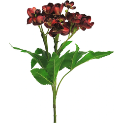 Kunstbloem Helleborus niger spray red 59 cm - Buitengewoon de Boet