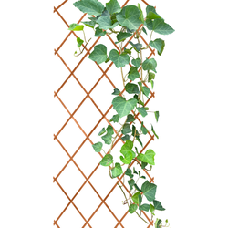 HIXA Klimrek Planten - Trellis - Plantenrek - Buiten en Binnen - Muur - Plantensteun - Balkon - Opvouwbaar