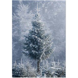 Schilderij op Paneel Kerstboom in de Winter