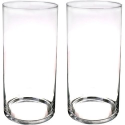 Set van 2x stuks glazen vaas/vazen transparant 40 x 19 cm - Vazen