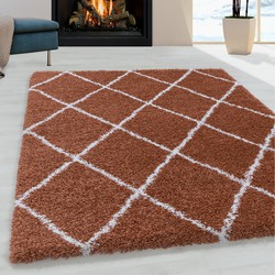 Tapijtenloods Harmony Soft Shaggy Hoogpolig Vloerkleed Terra / Oranje- 200x290 CM