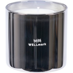 Wellmark Geurkaars bold future klein