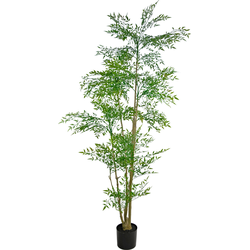 Hoyz Greenery - Kunstplant Ruscus 210 cm