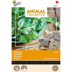 Animal favorites spinazie nores - schildpadden tuinzaden - Tuinplus