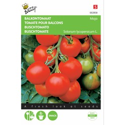 2 stuks - Saatgut Balkontomate Maja - Buzzy