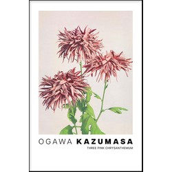 Ogawa Kazumasa - Three Pink Chrysanthemum - Walljar - Wanddecoratie - Poster met lijst