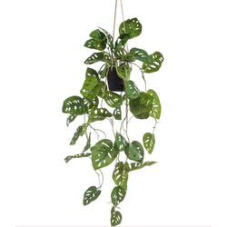 Monstera monkey hanging in pot 80 cm kunstplant - Emerald