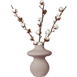 Droogbloemen - Cotton Branch - Katoen - Set van 3 takken - Hoogte 40-60 cm