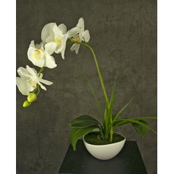 Greenmoods Kunst Orchidee - Phalaenopsis - Nep plant - 1 Stuk - 50cm - Wit