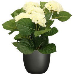 Hortensia kunstplant/kunstbloemen 36 cm - wit - in pot zwart mat - Kunstplanten