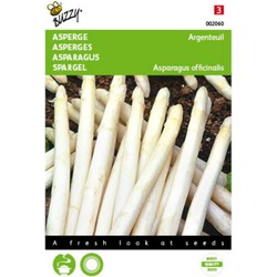 5 stuks - Asperge Argenteuil Tuinplus