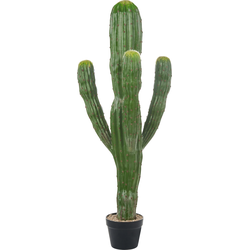 Beliani MAROCCO CEREUS - Kunstplant-Groen-Synthetisch materiaal